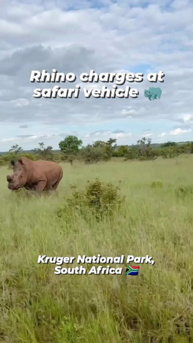 QAsUe WD9QfKGm2a.jpg