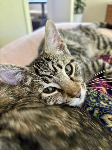 G u7 SCa0AA1bcb?format=jpg.jpg