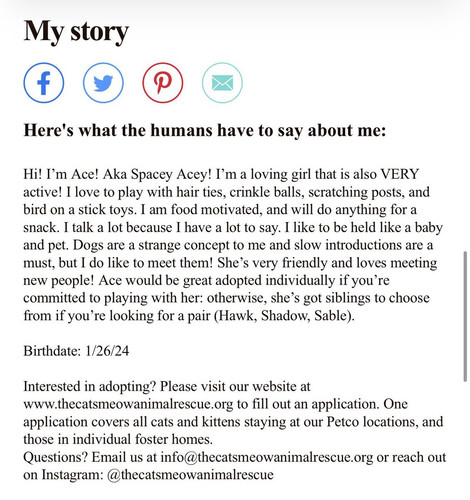 G u7 SEbYAAgk0k?format=jpg.jpg