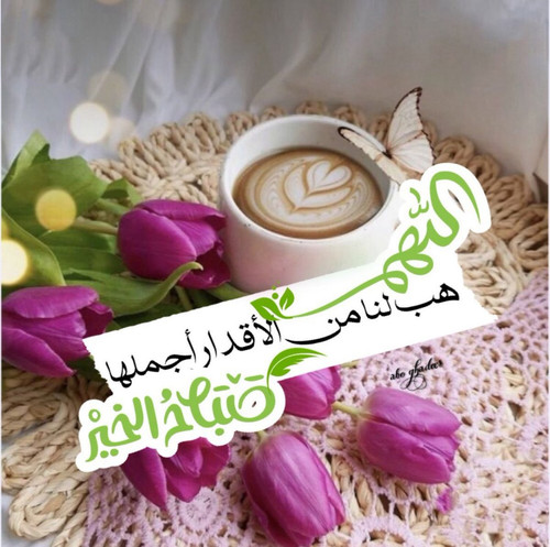 G wAI1PbYAAiAor?format=jpg.jpg