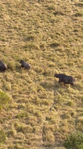 tlZSGsmraZitnUy .jpg