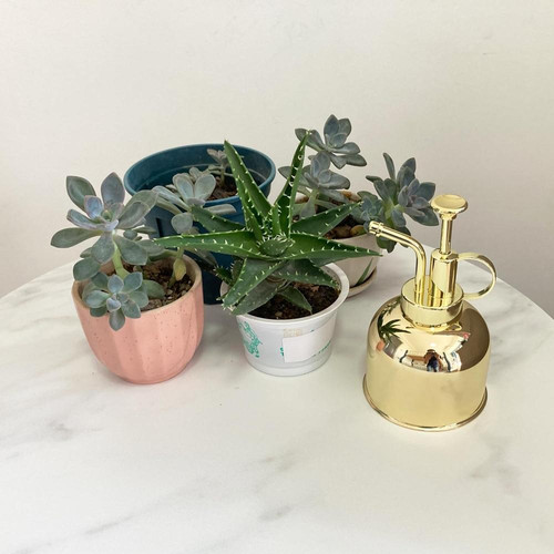 71RvKRWrb7L. AC SL1500 (1).jpg