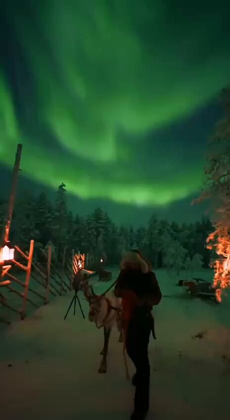 qgv38PNc tsIYiwY.jpg