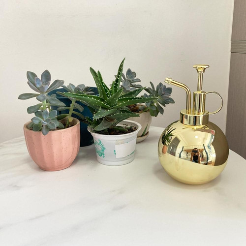 71LY2N9klLL. AC SL1500 (1).jpg