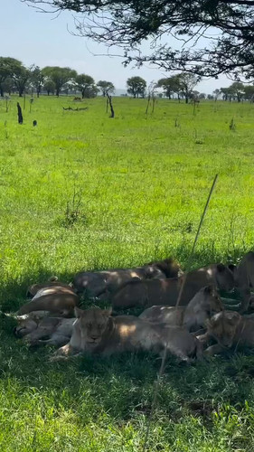 C3gG 51 QhihDTuJ.jpg