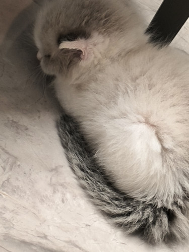 IMG 20260115 204016.jpg