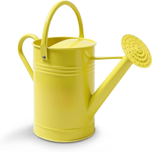 51cwB+6Y1nL. AC SL1500 (1).jpg