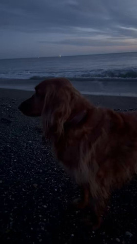 HNYgbM1Vqc5oxx x.jpg