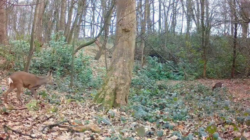 7s0 i 3AQmk2d7BK.jpg