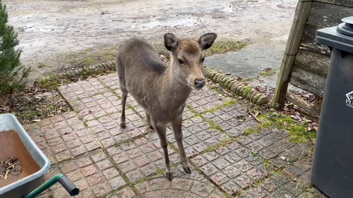 2YmV0MmxKFm9LpH .jpg