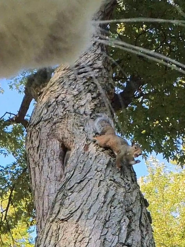 616825910 883897757961268 713940263500803144 n.jpg