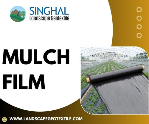 Mulch Film.jpg