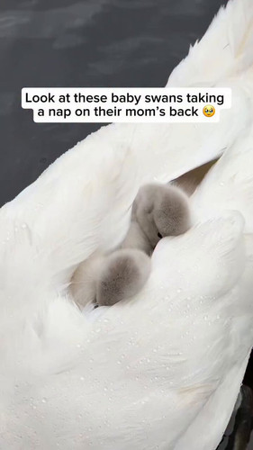 KpdJr0tQ5 Q6 O9g.jpg