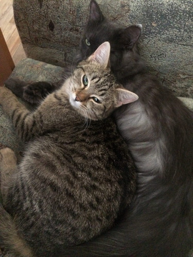 85E fW5PpKVNMxfhth389uuptRMm nuIObZnbD4i9SnnXn2K8KZNcSw1kFoHTK 16Ln9mPZnrP0bd1CtgRWPPVNe.jpg