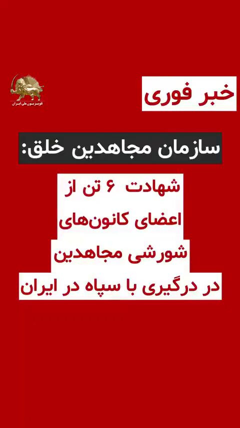 AN uEjVIhnb1fD7A.jpg