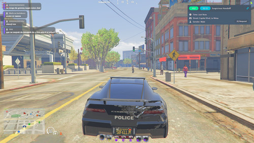 FiveM GTAProcess PvCNdfQRXQ.jpg