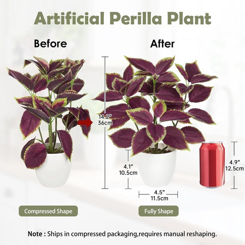 71orZ303WhL. AC SL1500 (1).jpg