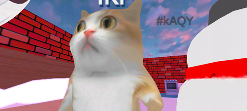 imagen.png