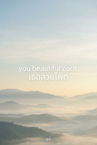 8126d2d7cf2f.jpg