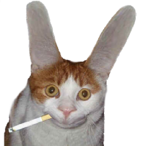 =?utf 8?B?L2hvbWUvY2hpY2hhcmQv0JjQt9C+0LHRgNCw0LbQtdC90LjRjy9TYXZlZCBQaWN0dXJlcy9rb3RlLnBuZw==?=.png