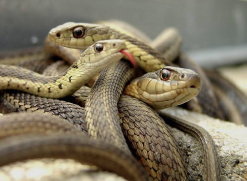 G xsR3JbYAE kI9?format=jpg.jpg