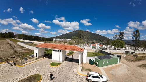 WhatsApp Image 2026 01 16 at 9.20.12 AM (1).jpg