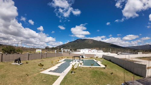 WhatsApp Image 2026 01 16 at 9.19.19 AM (4).jpg