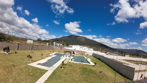 WhatsApp Image 2026 01 16 at 9.19.20 AM.jpg