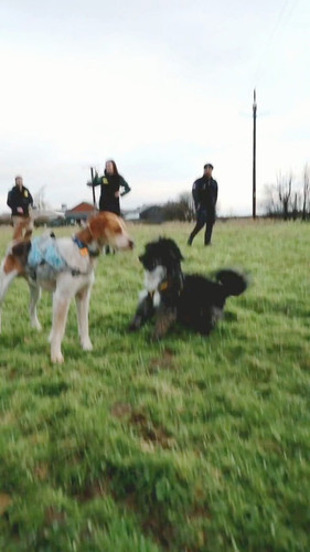 K5kPDxoYhQI9W zZ.jpg