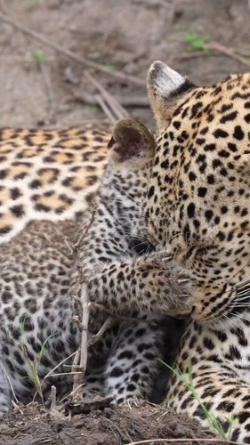 HX JLsIoBEerkTgM.jpg