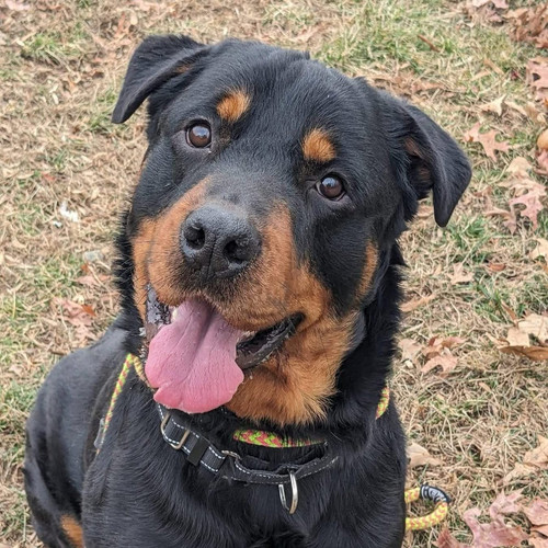 G qNtWxbQAMJd0w?format=jpg.jpg