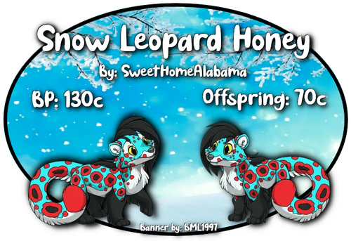 snow leopard honey