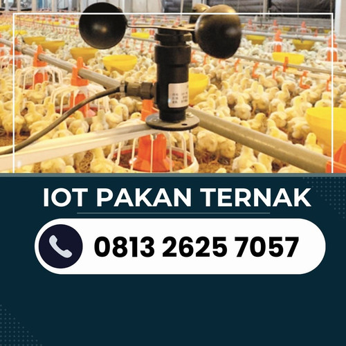 IoT (7).jpg