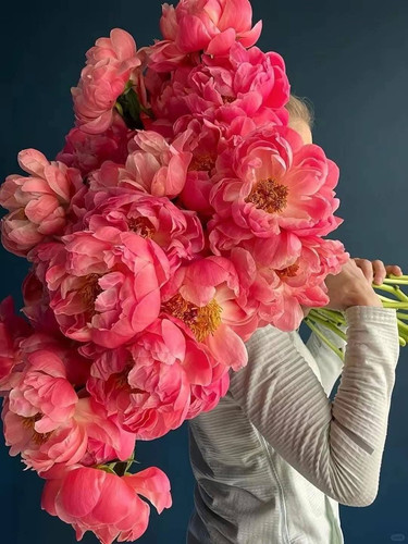 G soqRUawAAbSFb?format=jpg.jpg