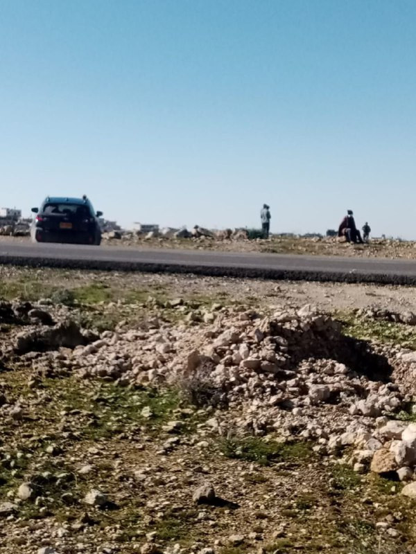 صورة| قوات الاحتلال تعتقل شابًا أثناء إطلاق المستوطنين مواشيهم بمحيط مساكن المواطنين في خربة هريبة النبي بمسافر يطا جنوب الخليل...