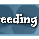 Purrfection games breeding contest
