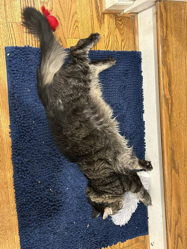 G txQlVbYAEQAlr?format=jpg.jpg