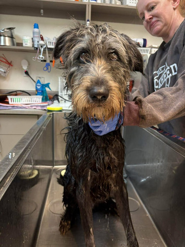 G vddQiXUAAAihU?format=jpg.jpg