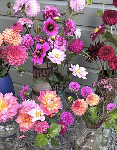 G xP 4mXcAANGTb?format=jpg.jpg