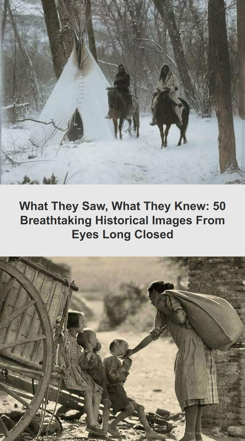 ig tt comments 558cba5a d2bd 41a1 9135 707ce4a1ff55.png