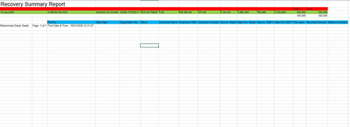 RECOVERY SUMMARY REPORT.jpg