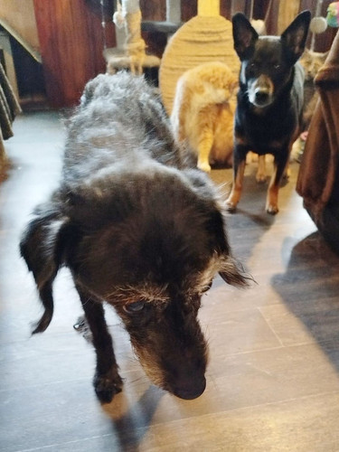 G xq09XWwAEMsby?format=jpg.jpg