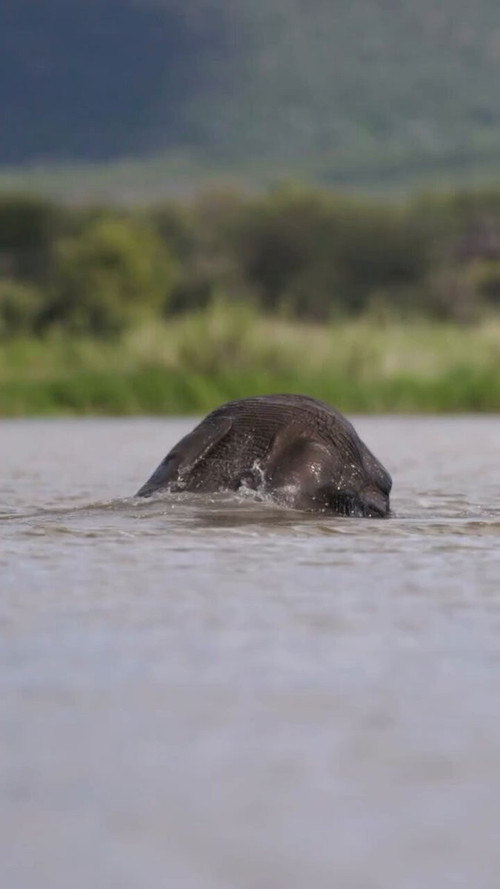 q5xj495sEV4IfuL .jpg