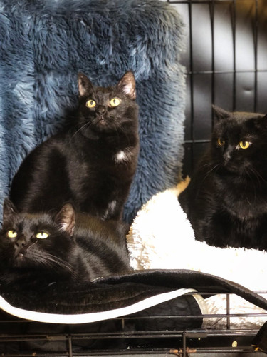 G tvqFIbQAQMNwv?format=jpg.jpg