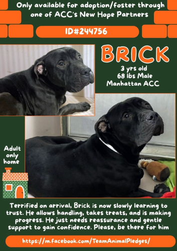 G EjaJ9bYAEOVxy?format=png.png