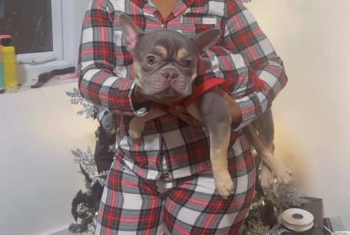 G tK3w3bQA0hVEP?format=jpg.jpg