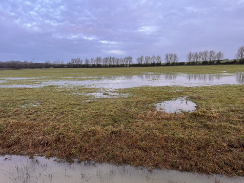 G xWQivWIAA4UrH?format=jpg.jpg