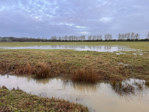 G xWQjIbQAA7sTZ?format=jpg.jpg