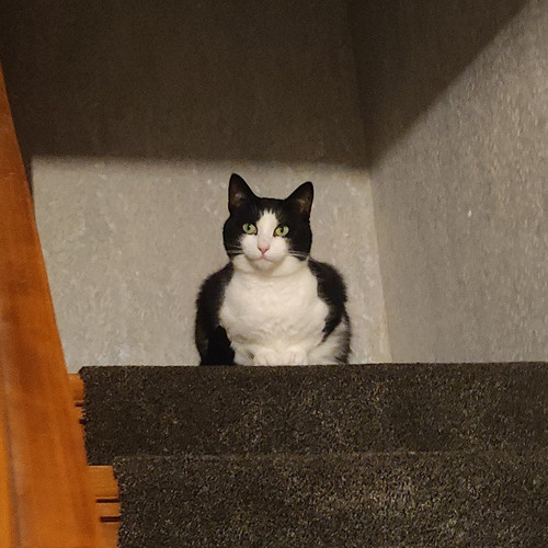 G uBSZ2bQGYzSi3?format=jpg.jpg