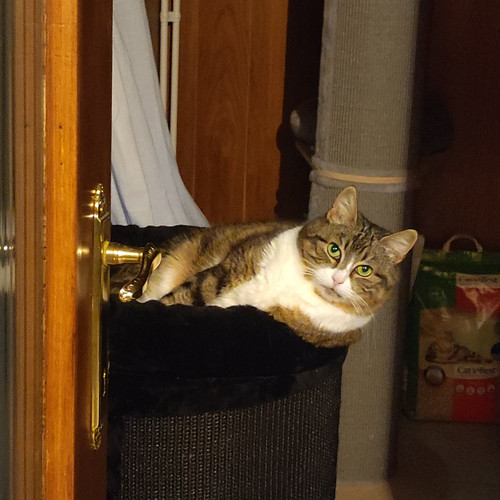 G uBSDUWcAMGcia?format=jpg.jpg